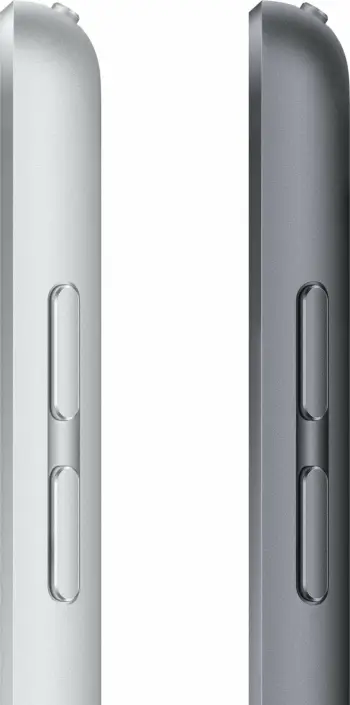 Tablet Apple iPad 10.2 256GB Wi-Fi 9th Gen argjendtë