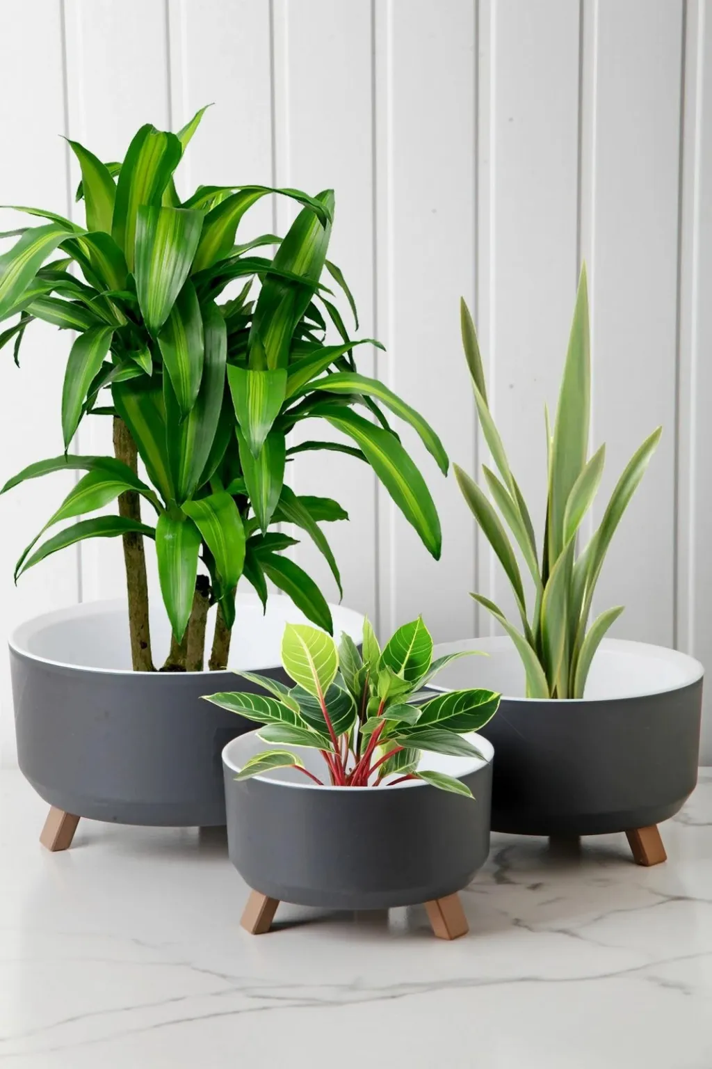 Set vazo dekorative Aberto Design, gri, TRPTSKS-1-3 - 1