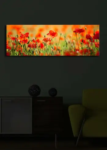 Pikturë dekorative me drita LED, shumëngjyrëshe, Wallity, 3090İACT-13, 30x90cm