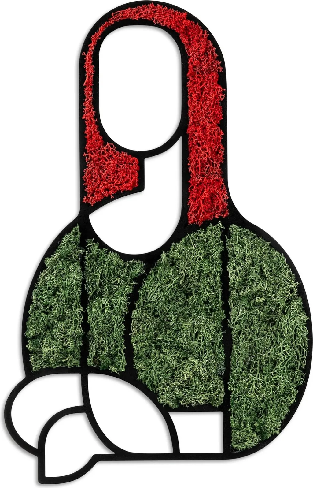 Pamja 5