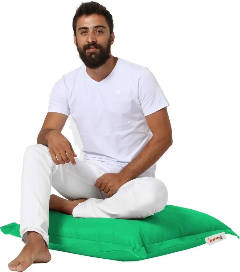 Pamja 2