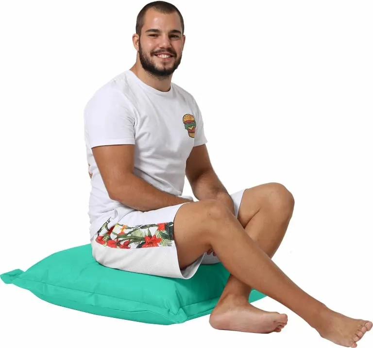 Pamja 4