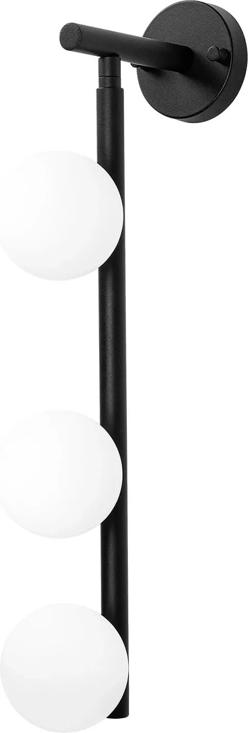 Pamja 6