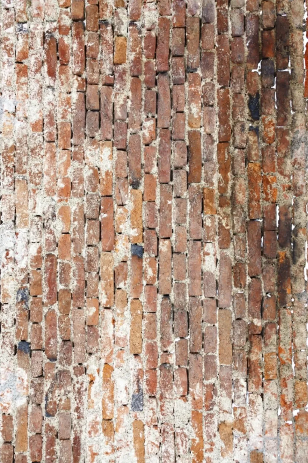 Qilim për korridor, Conceptum Hypnose, CT-2073, 80x150cm - 2
