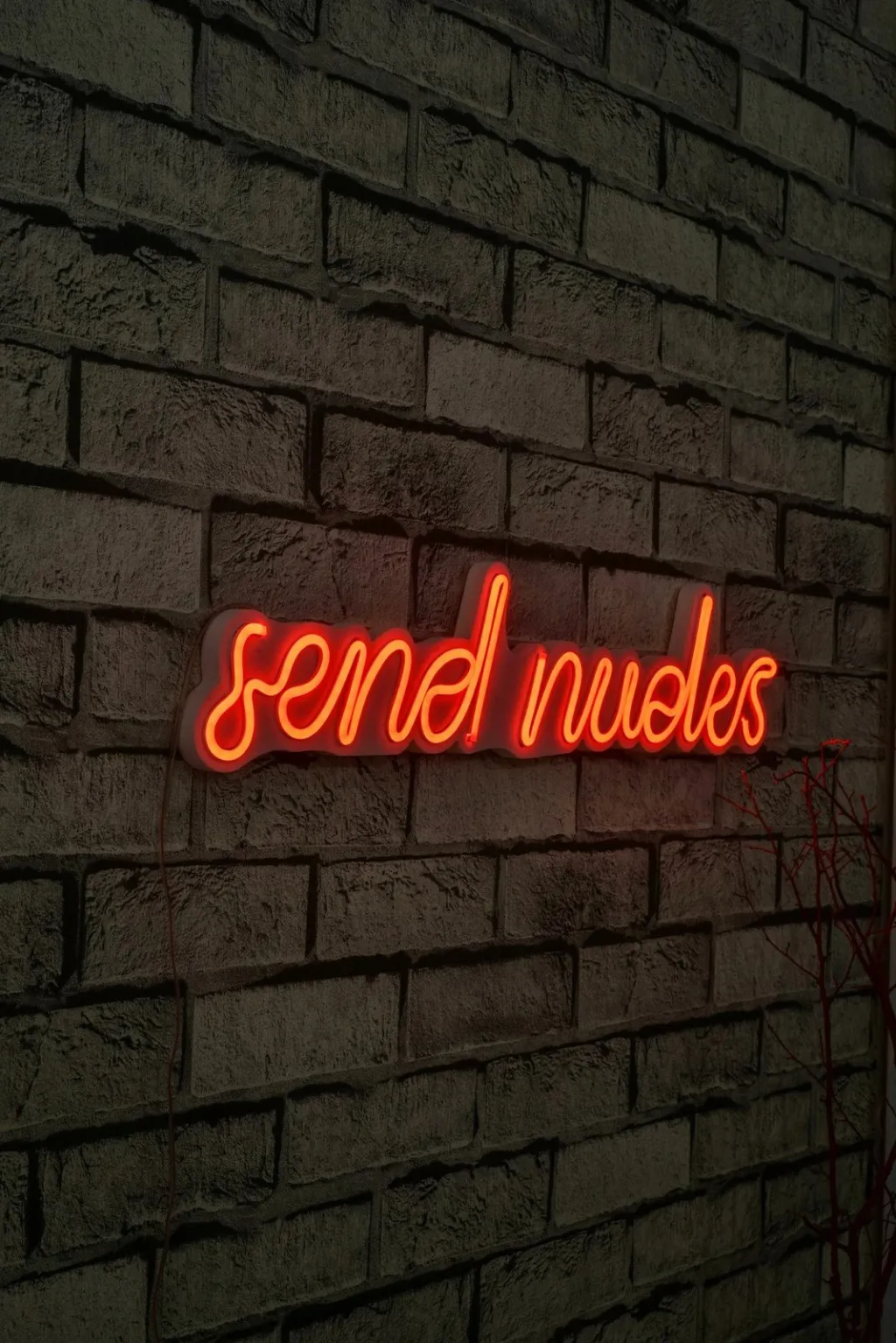 Pamja 2