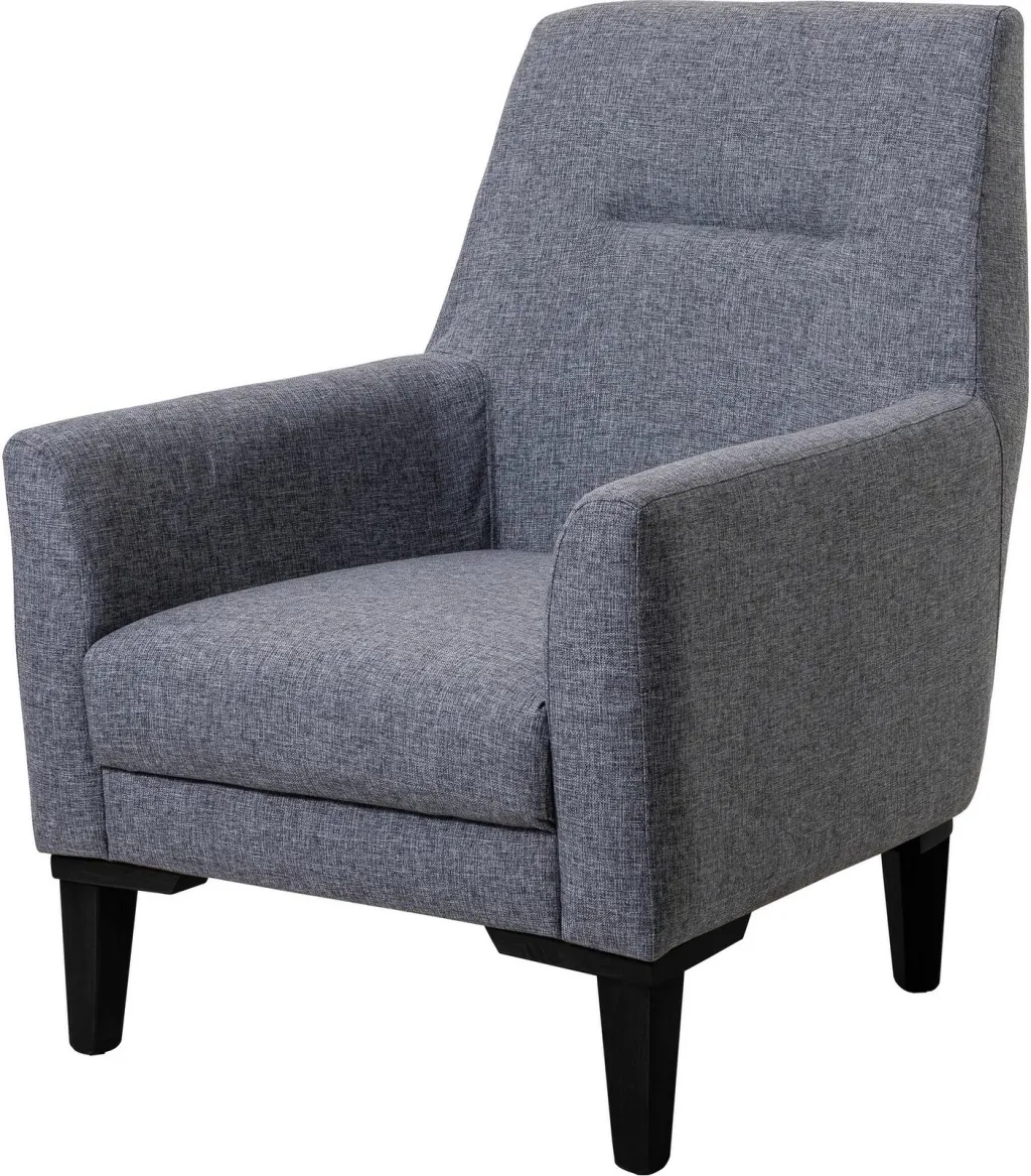 Karrige Wing Atelier del Sofa, Liones-S, gri e errët - 2