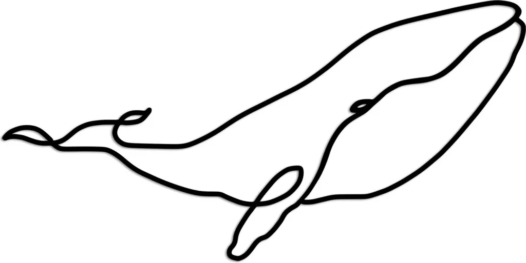 Pamja 5