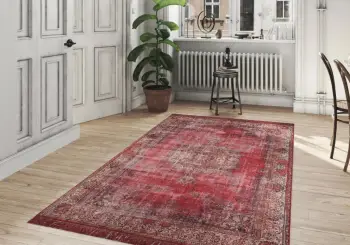 Qilim (230 x 330) Conceptum Hypnose, Blues Chenille - e kuqe AL 119