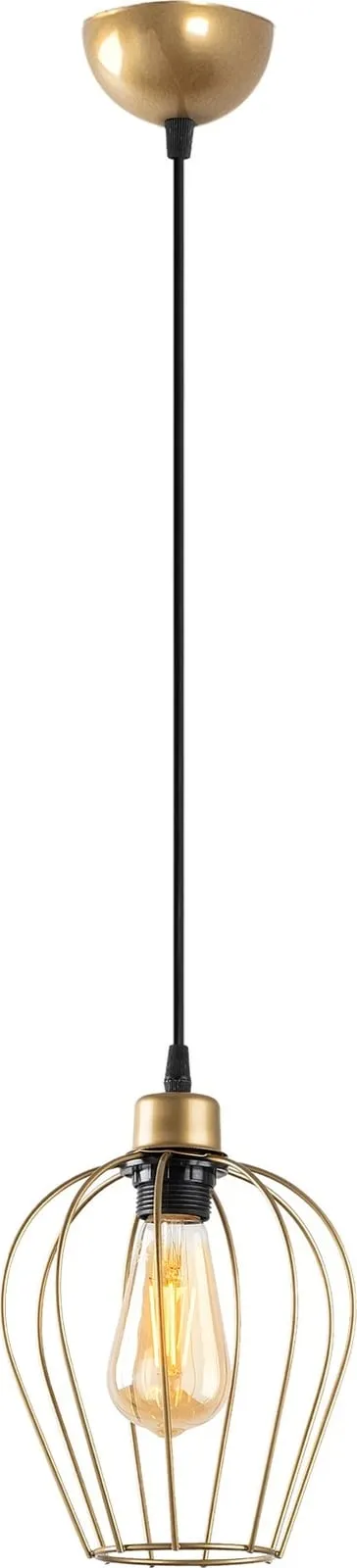 Pamja 5