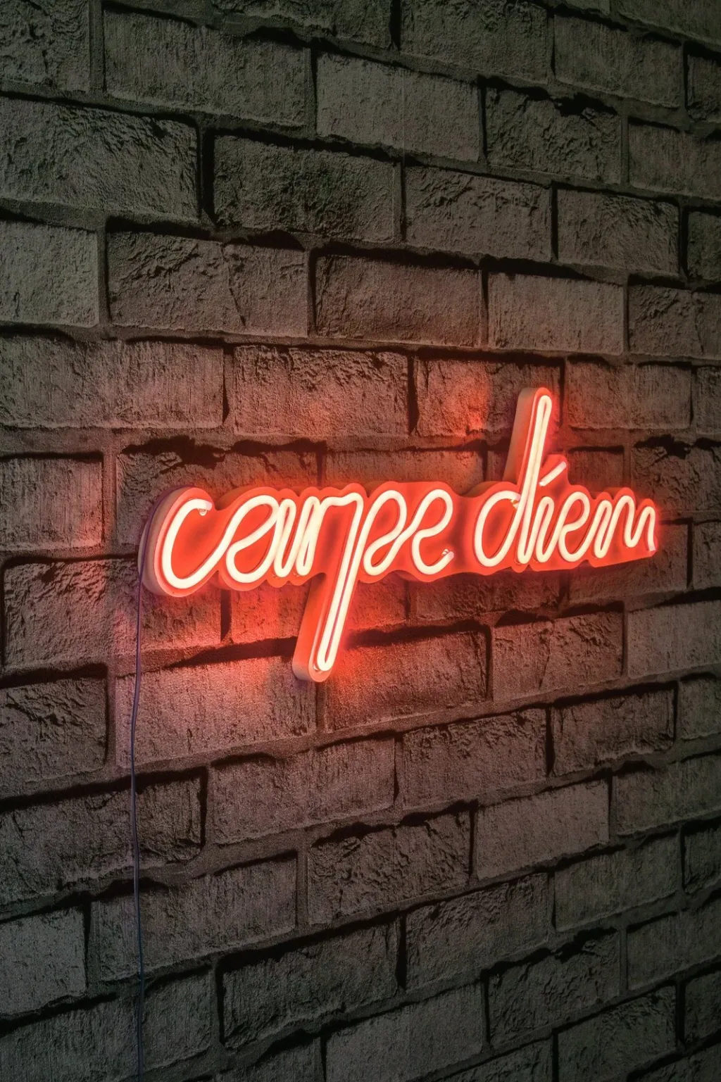 Dritë dekorative LED në mur, plastikë, 'carpe diem', e kuqe - 2
