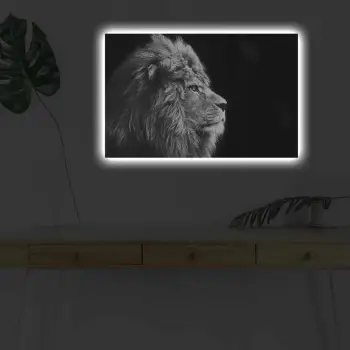 Pikturë dekorative me dritë LED, kanavacë, shumëngjyrëshe, 45x70cm, 4570DHDACT-058