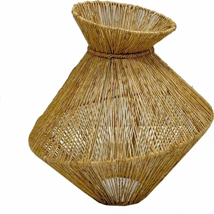 Pamja 1