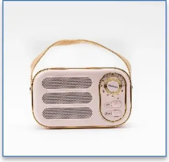 Sonit Mini Altoparlant me bluetooth - DW13
