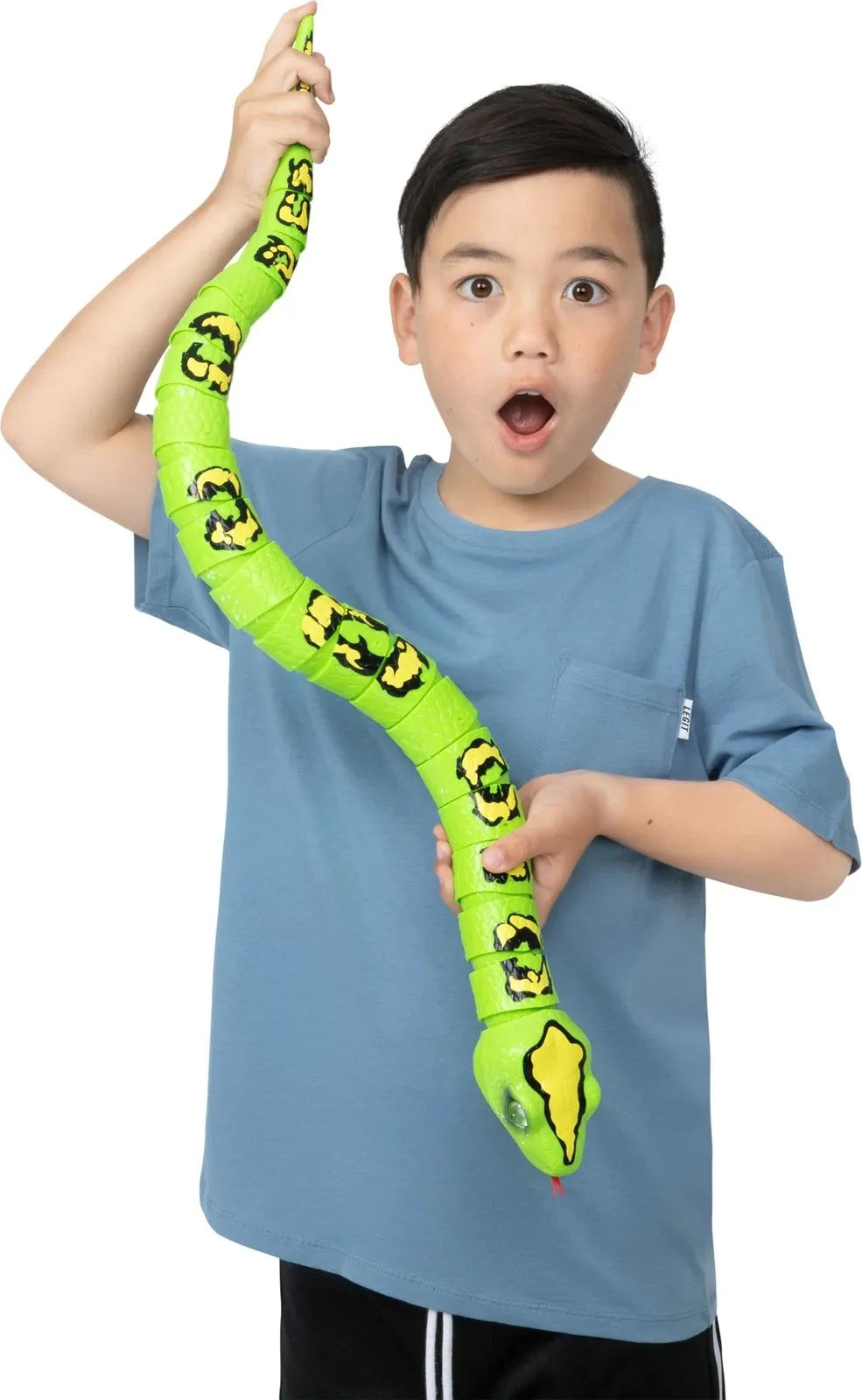 Pamja 4