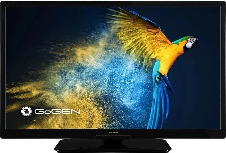 Televizor GOGEN GOGTVH24M606STWEB - 1