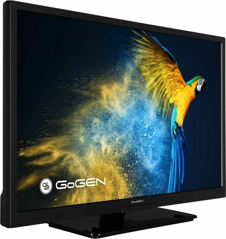 Televizor GOGEN GOGTVH24M606STWEB - 2