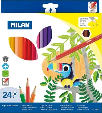 MILAN NGJYRA DRURI 1/24 80024