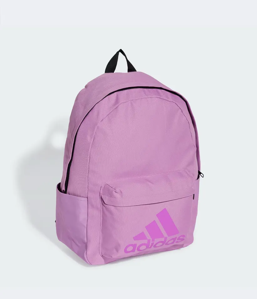 CLSC BOS BP - 2