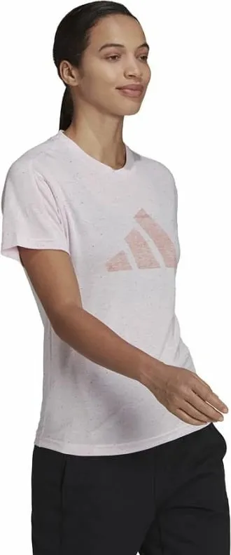 Pamja 2