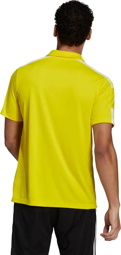 Pamja 3
