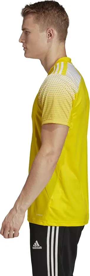 Pamja 4