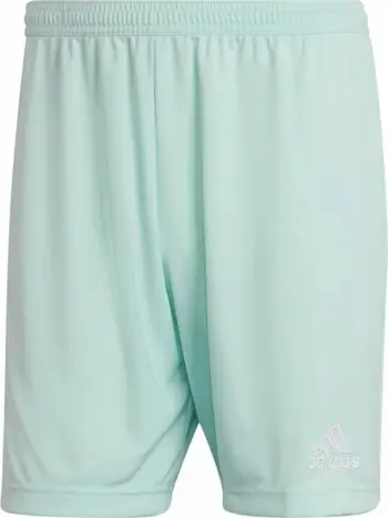 Shorce për meshkuj Adidas Entrada 22, të kaltër