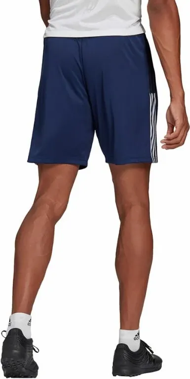 Pamja 4
