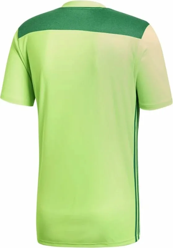 Pamja 5