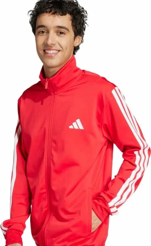 Pamja 3