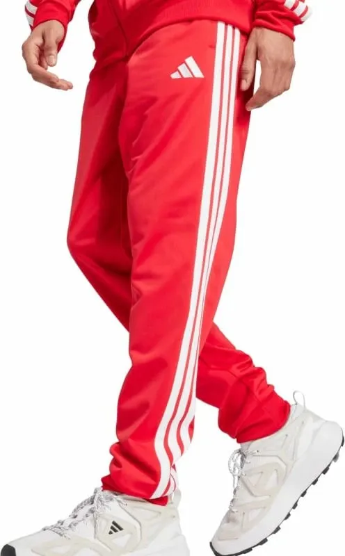 Pamja 4