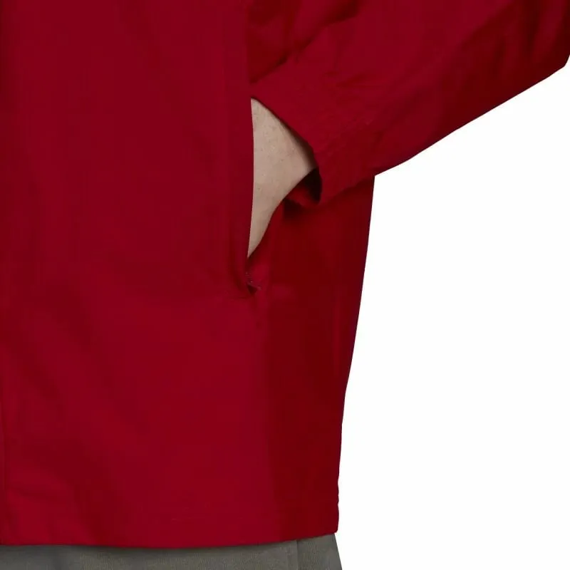 Pamja 4