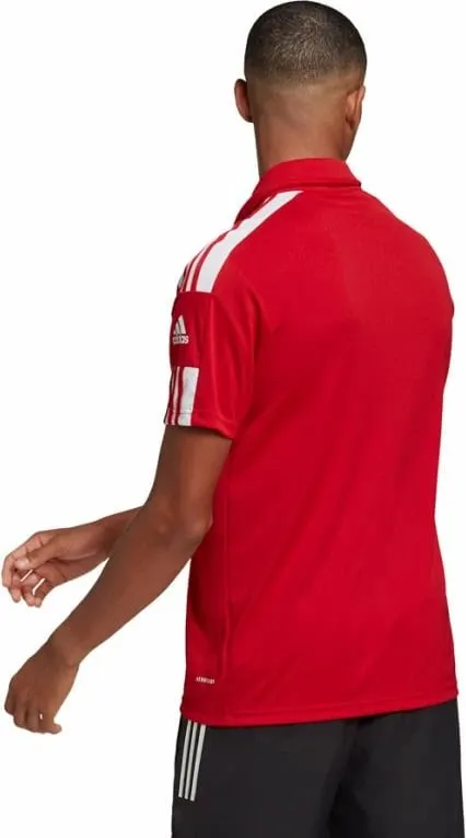 Pamja 4