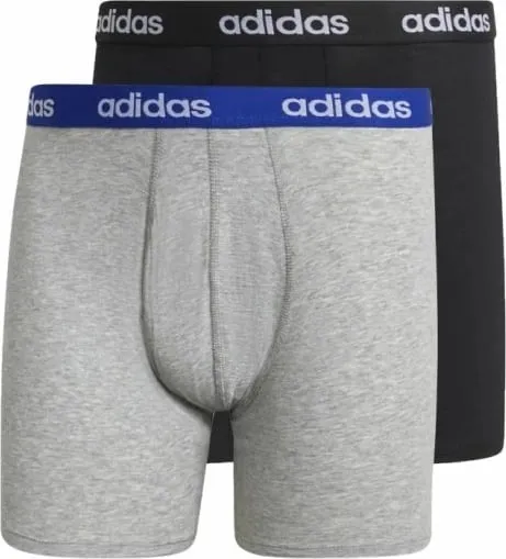 Pamja 1