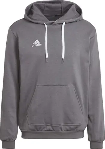 Hanorak Adidas Entrada 22 Sweat M HB0578, pambuk poliester, kapuç, gri
