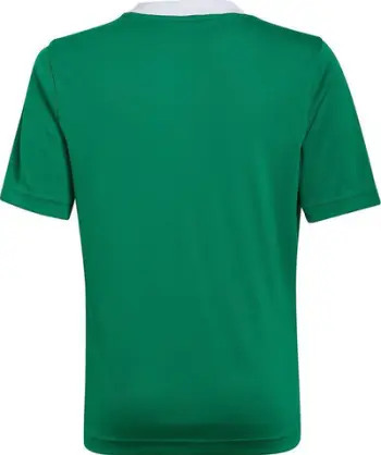 Fanellë Futbolli për Fëmijë adidas Entrada 22 Jersey, e Gjelbër