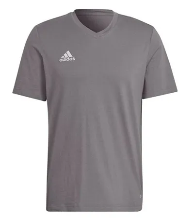 Maicë për Meshkuj adidas Entrada 22 Tee, Gri - 1