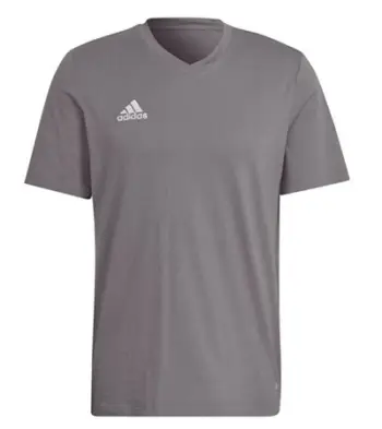 Maicë për Meshkuj adidas Entrada 22 Tee, Gri