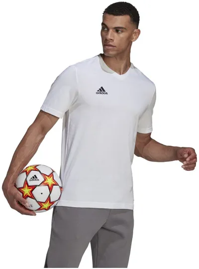 Pamja 4