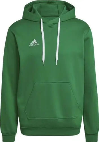 Bluzë me kapuç Adidas Entrada 22 HI2141, për meshkuj, e gjelbër, S
