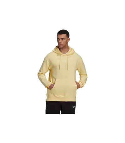 Pamja 1