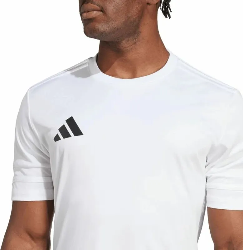 Pamja 8