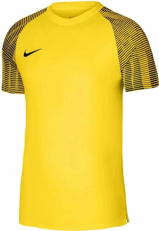 Pamja 1