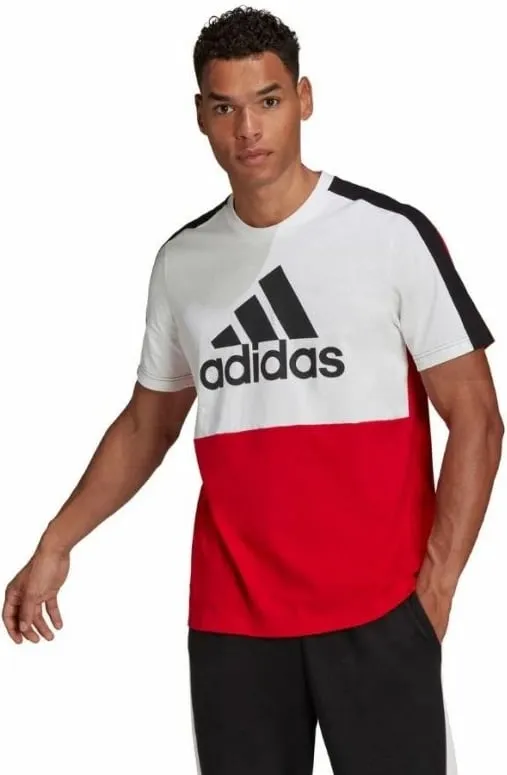 Pamja 2