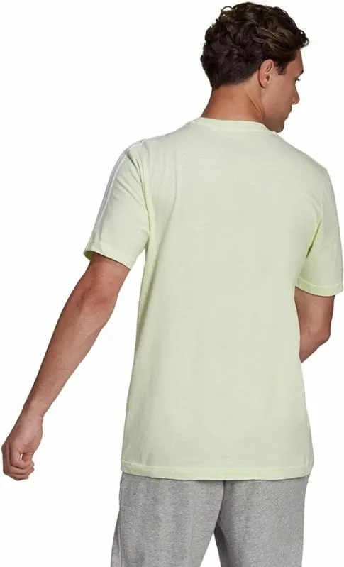 Pamja 4