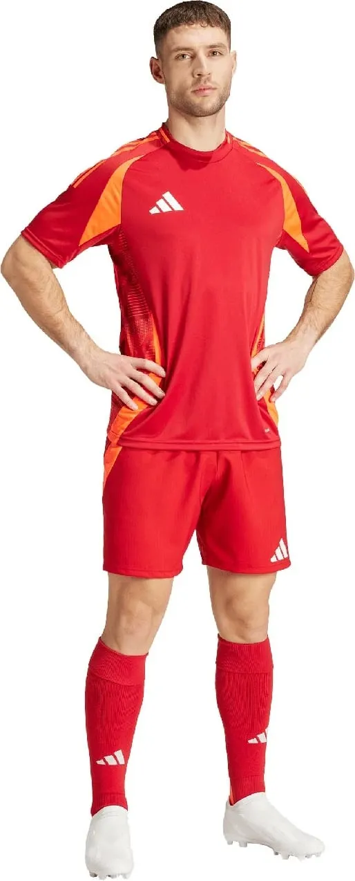 Pamja 3