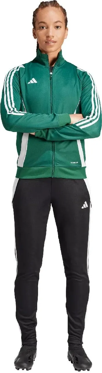 Pamja 4