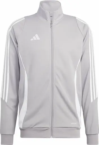 Duks për meshkuj adidas Tiro 24 M, gri