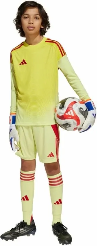 Pamja 9