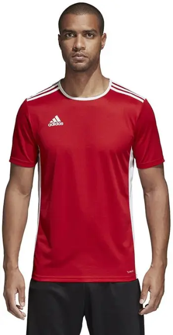 Maicë për meshkuj Adidas Entrada 18, XXL, e kuqe