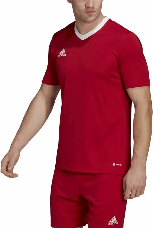 Pamja 3